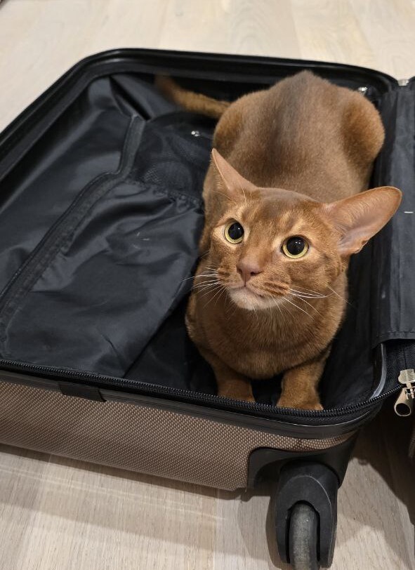 photo2026-02-0813-45-05