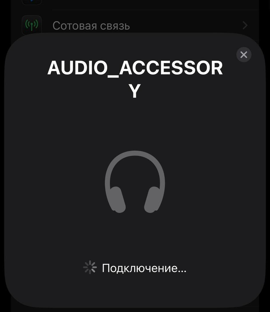 photo5318942698746090843y