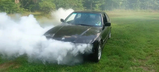 imagepicker8D5999EB-06C4-4A70-8DAA-D1531D4BA9A9-2333-0000118B0ABDF6D7