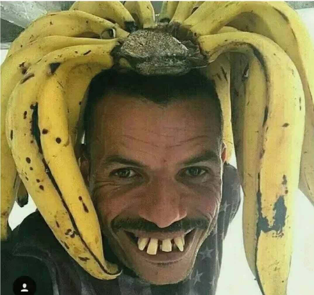 9295