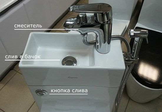 Uploaded Image