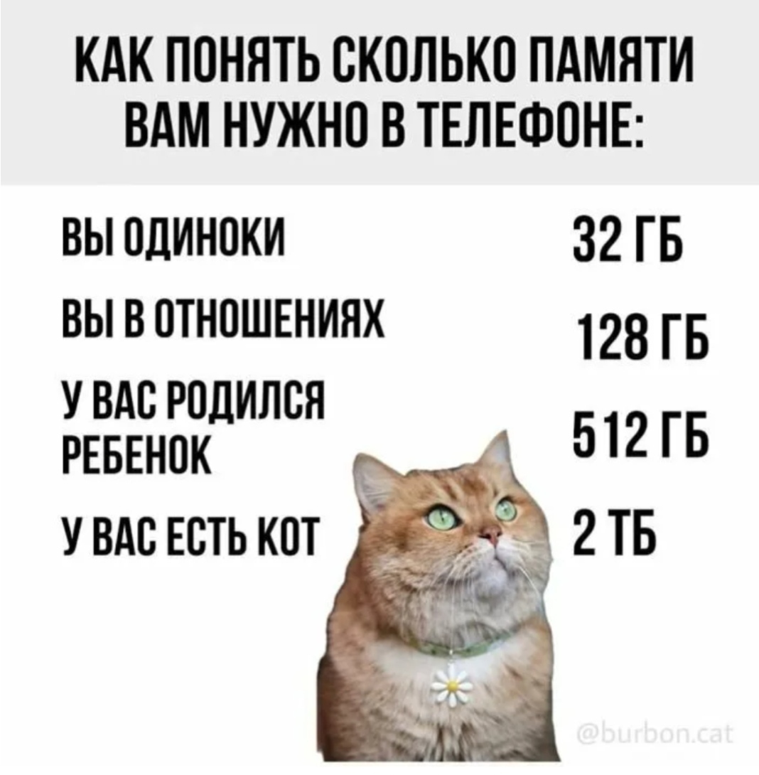 14098