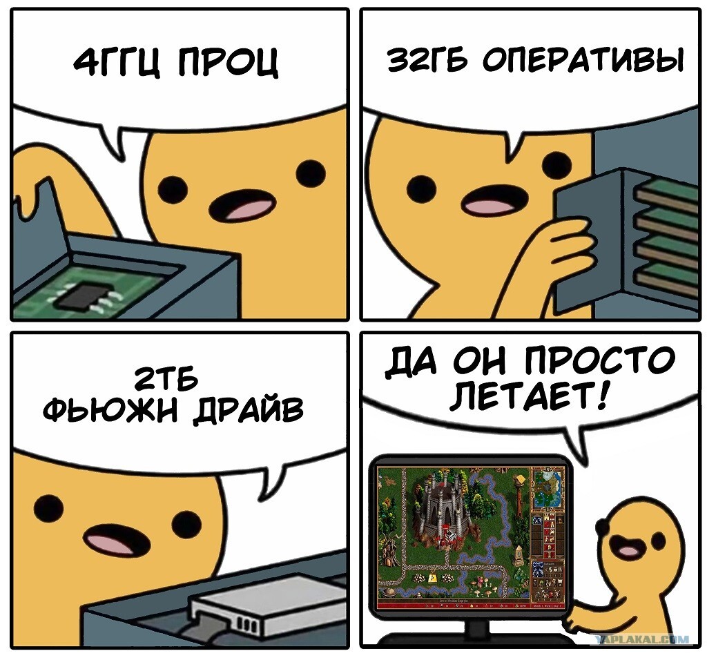 1000040067