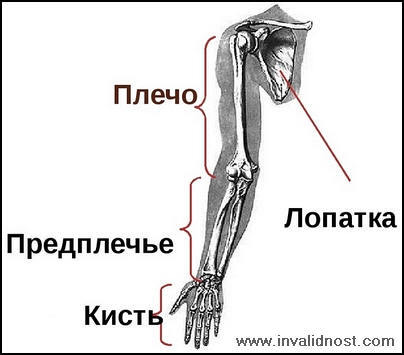 1000583507