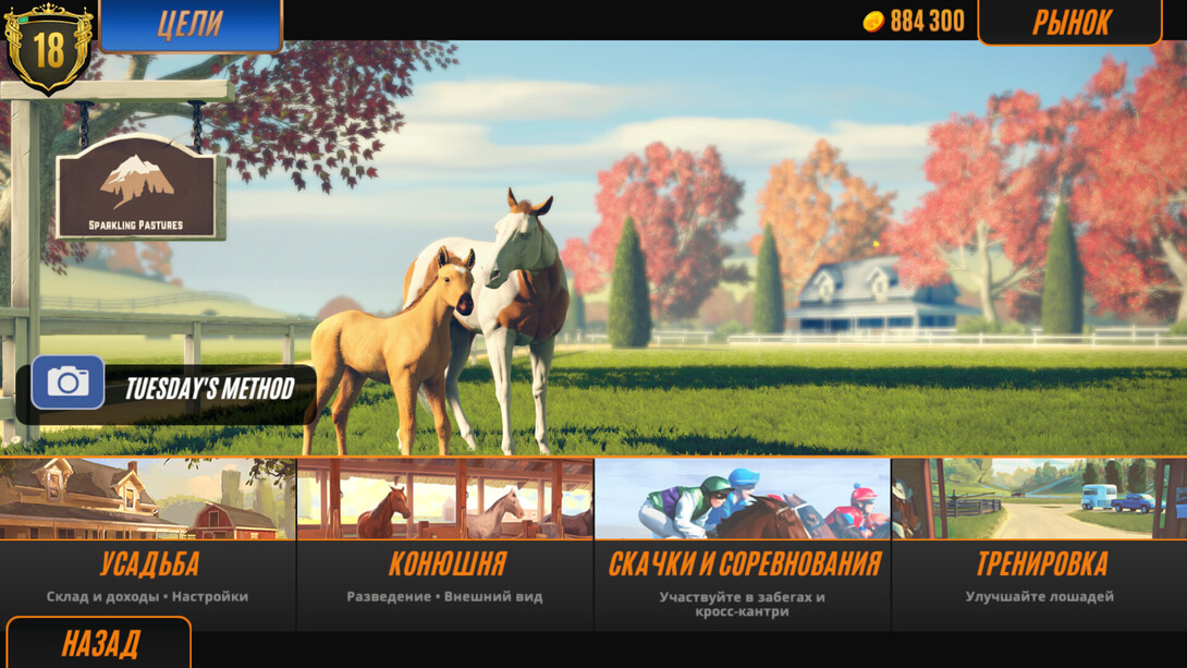 rivalstarshorseracing-11