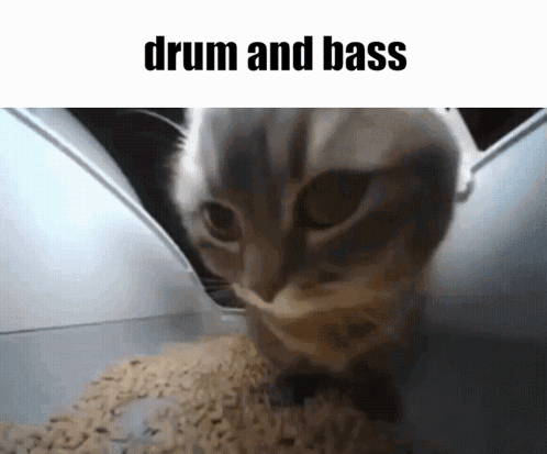dnb-drum-and-bass