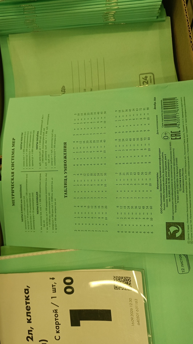 69056