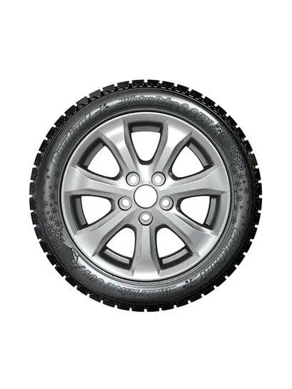 Легковые зимние шины 205 / 55 R16 CORDIANT WINTER DRIVE 2 