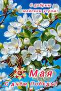 Mishel21