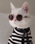 SMM_prof88