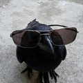 Oleg93