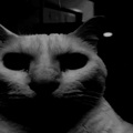 охотник_на_чебуреки