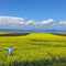 user_photo
