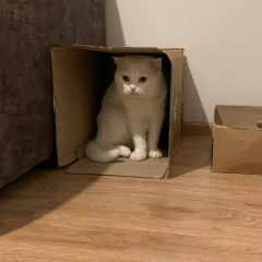 Владислав_Медовый