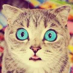 Руслан_Нахмедов