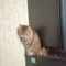 user_photo