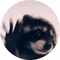 user_photo