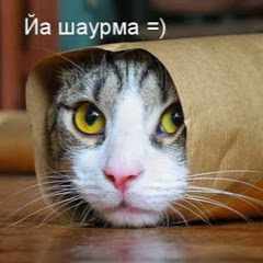 Игорь_Мишагин