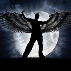 Wild_Angel