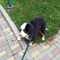 user_photo