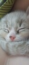 user_photo