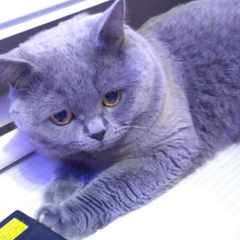 Сергей_ПавловxnR