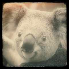 Александр_Фамилияя