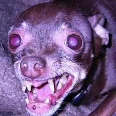 Артур_Шарипов