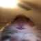 user_photo