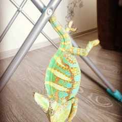 Игорь.Трубчанинов