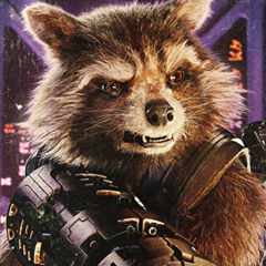Racoon_