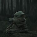 BabyGrogu