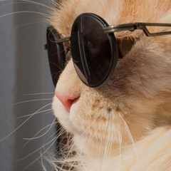 НеизвестныйПлатон