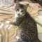 user_photo