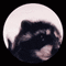 user_photo