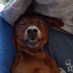 МистерМатвэ