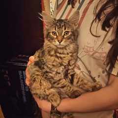 Наталия_Крисс