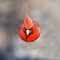 user_photo