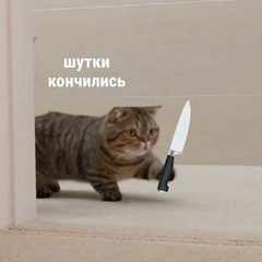 Сережкаа