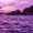 The_Swin