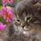 user_photo