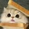user_photo