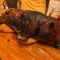 user_photo