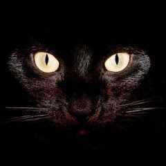 Игорь_Анатольевич