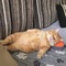 user_photo