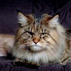 Александр_Баталов