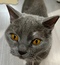 user_photo