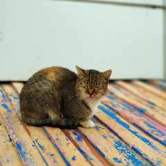 Александр.Лебедев