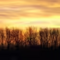 user_photo
