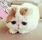 Mr_Goodcat